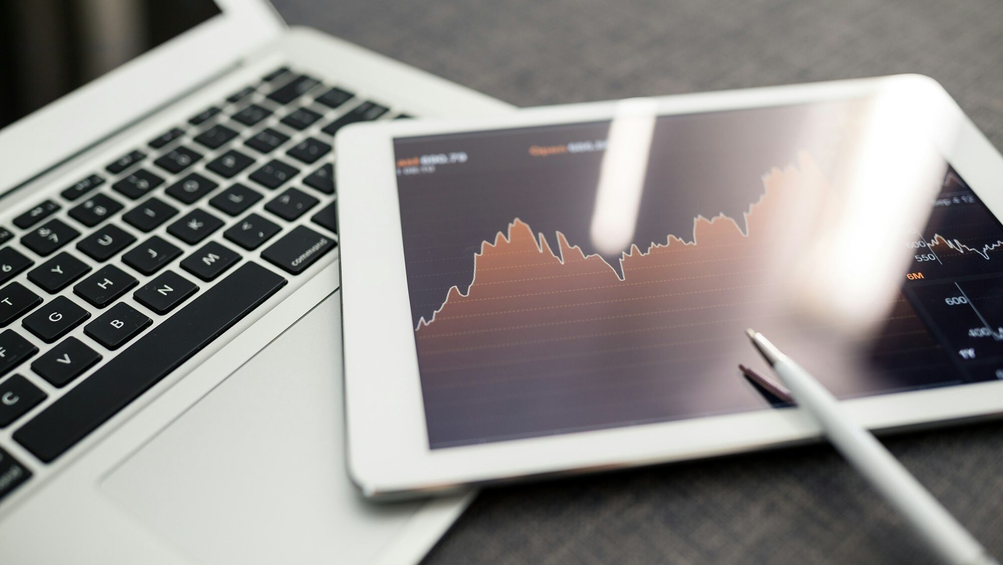 Using Xero in your Business