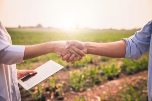 buying a competitor