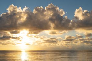 freedom in your business